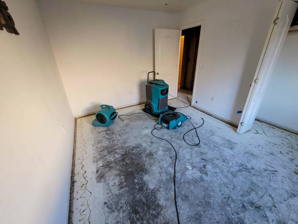 Best Ceiling water damage repair  in Tye, TX