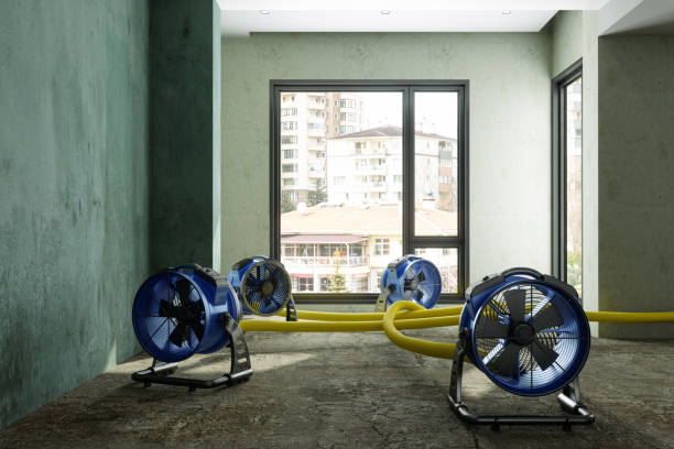 Best 24-hour water damage restoration  in Tye, TX