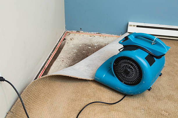 Best Carpet water damage restoration  in Tye, TX